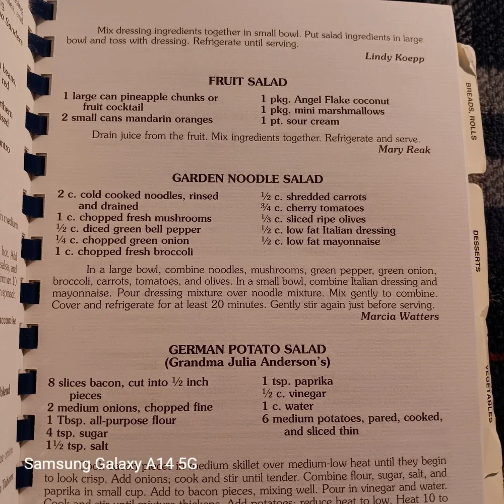 TREASURED FAMILY RECIPES Cookbook Roberta Mazza 1999 Spiral American Vintage